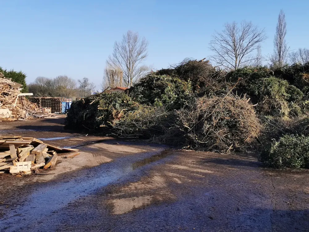 dechet-vert-activity
