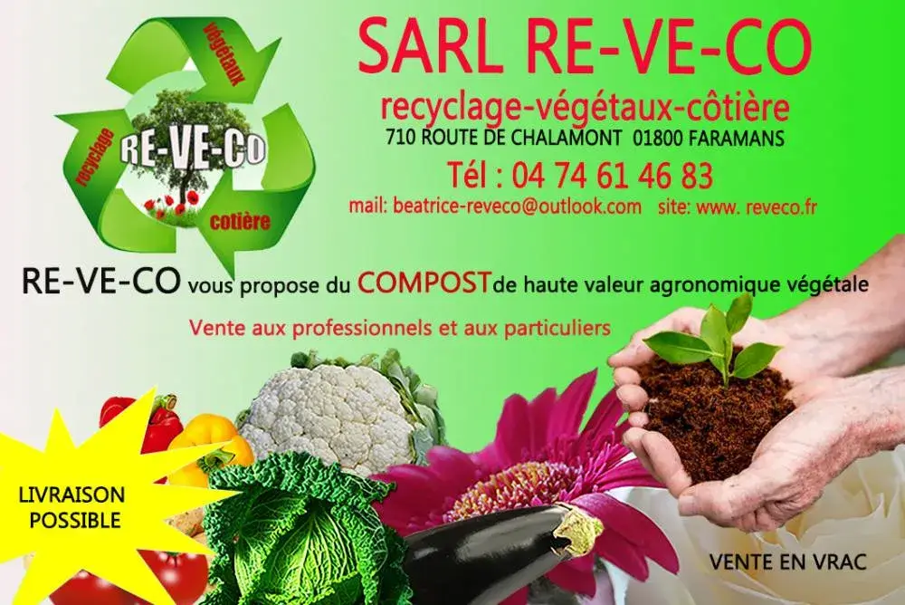 reveco13