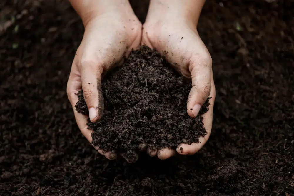 Compost à Faramans